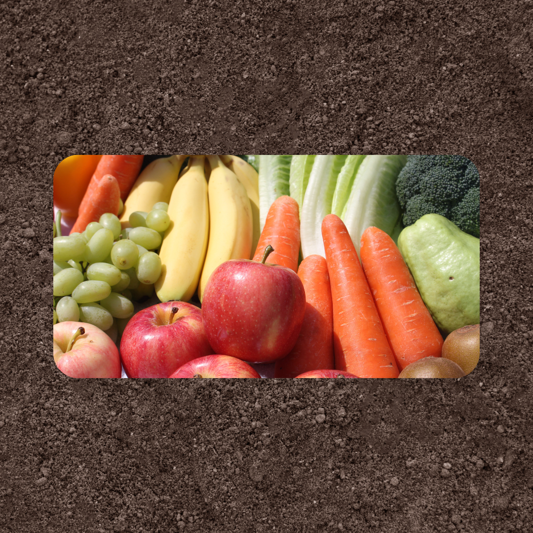 An Ancient Idea, Reborn: Why Gut Support Matters in Medicine World