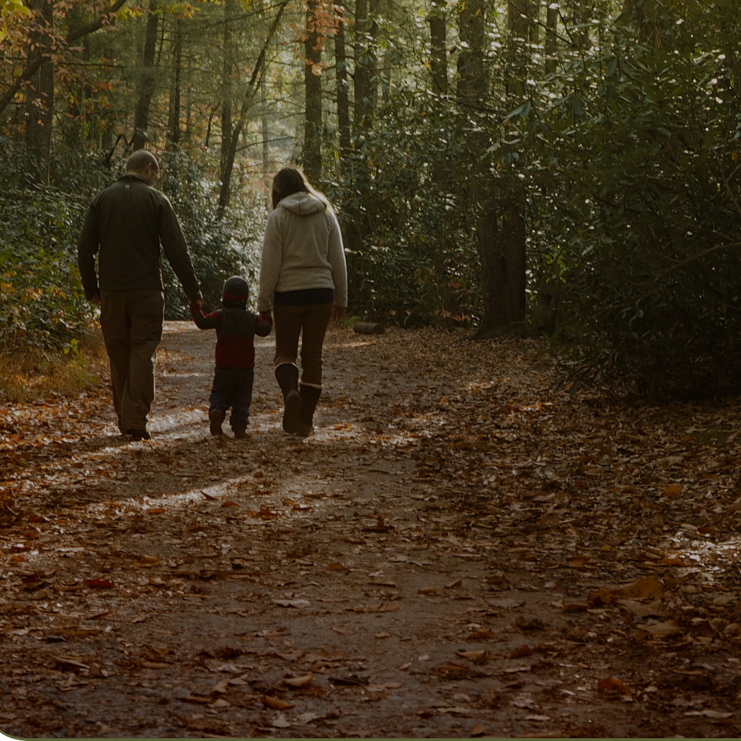 Seasonal Immune Rhythms: Why Fall Makes Us Sick