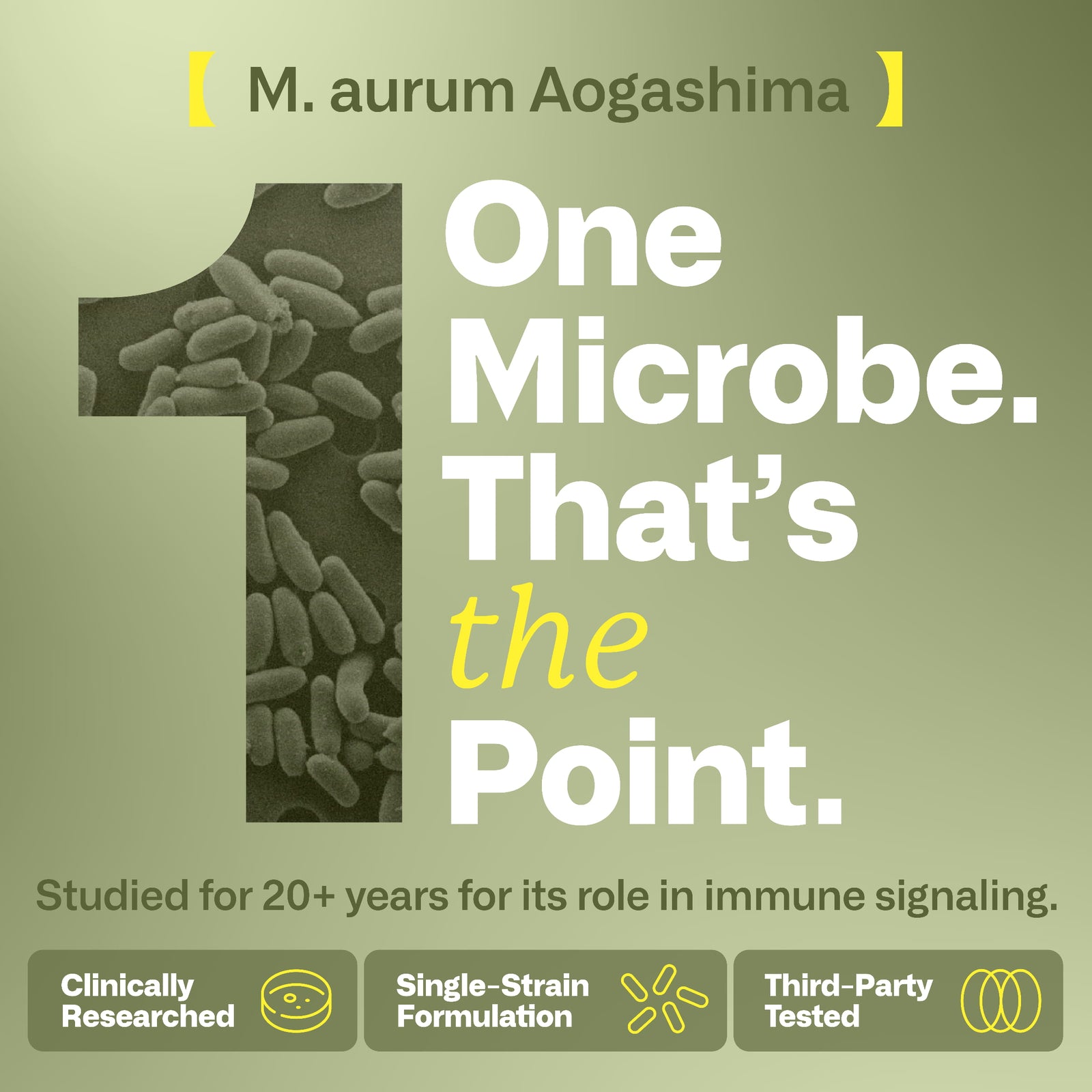 immy™ Daily Immune Balance