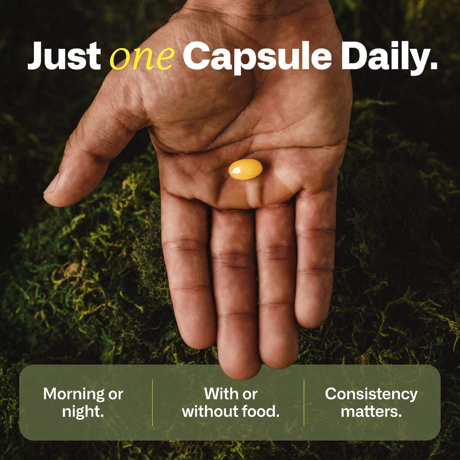 immy™ Daily Immune Balance